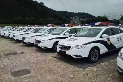 吉利后，又一款“神车”被采购当警车！网友：厉害了“保时泰”
