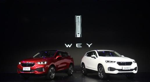 看扁长城的被打脸!WEY月销过万,车友都可以搞大规模聚会了!