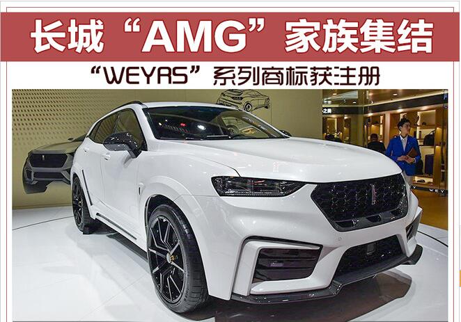 长城“AMG”家族集结 “WEYRS”系列商标获注册
