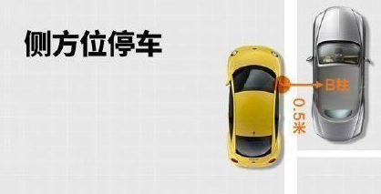 一看就会的停车技巧！瞬间从菜鸟变老司机