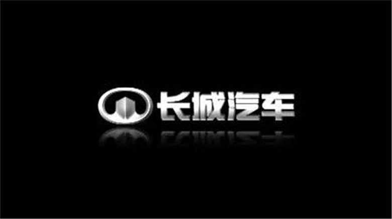 回复中消协调查敷衍了事 长城汽车你能走点心吗？