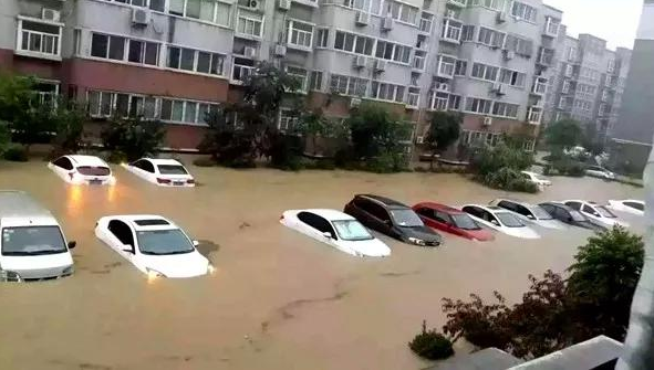 车子被淹了为何还不挪走？车主：你有所不知