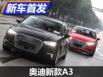 换装2.0T发动机 奥迪新款A3国内首发
