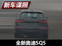 换装涡轮增压动力 全新奥迪SQ5国内谍照