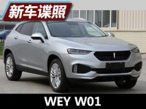 可选双边共四出排气 WEY W01申报图曝光