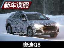 中大型轿跑SUV新力量 曝奥迪Q8最新谍照