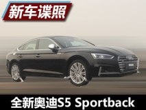 性能/实用 新奥迪S5 Sportback国内首曝