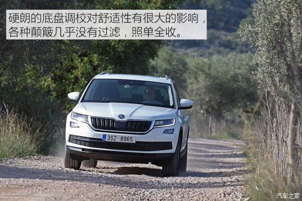 斯柯达(进口) 柯迪亚克(海外) 2016款 基本型