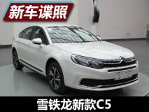 最新家族式风格 曝雪铁龙新款C5申报图