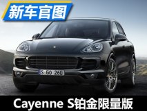 现款再升级 Cayenne S铂金限量版官图