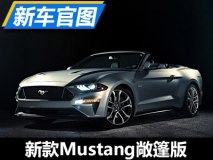 别具风味 福特新款Mustang敞篷版官图