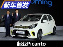 日内瓦车展正式亮相 起亚发布新Picanto