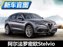 搭2.0T 阿尔法罗密欧Stelvio普通版官图