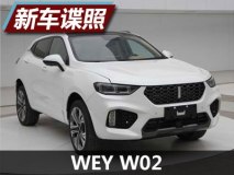 可选不同前脸和排气布局 W02申报图曝光