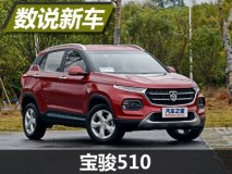 数说宝骏510：价格接受度高/配置满意