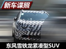 4008姊妹车 东风雪铁龙紧凑型SUV谍照
