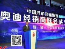 奥迪经销商：年销百万前需暂停上汽奥迪