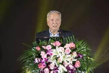 专题 | 王秉刚：新能源汽车尚未到快速发展期