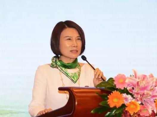 好电池银隆造，手机变电动车还要多久
