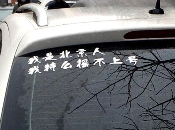 只是简单代步 这些A00级新能源小车就很好