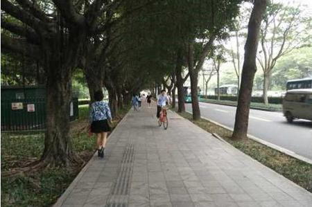 台湾电动自行车管理，要争取权利也要尽义务