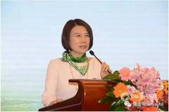 对错是非，你真的懂董明珠和银隆吗？