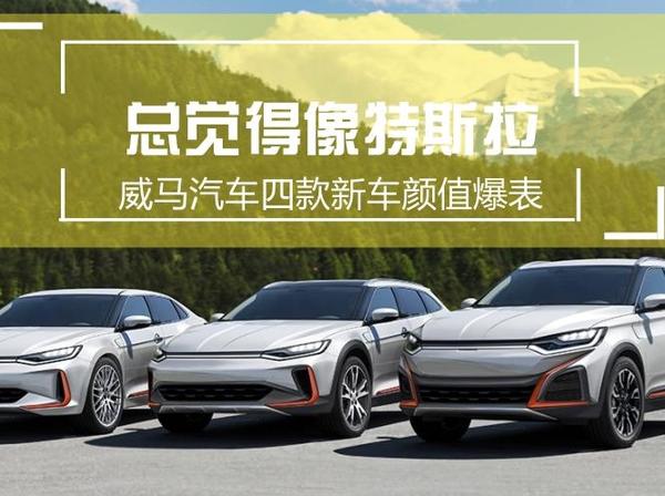 总觉得像特斯拉 威马汽车四款新车颜值爆表