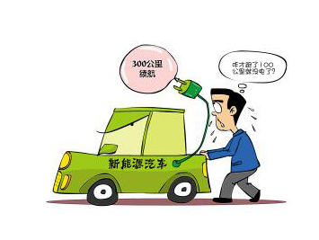 在补贴的大环境下，国内纯电动车有没有未来