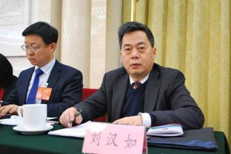 政府要大力发展的清洁能源汽车 两会汽车界代表是怎么回应的？丨聚焦