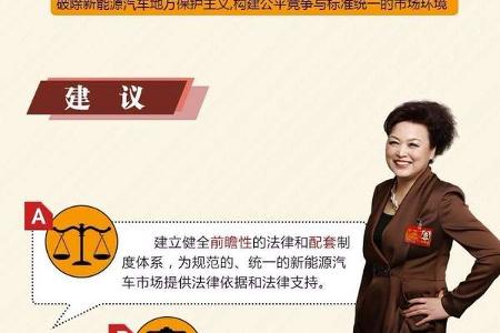 全国人大代表王凤英两议案诠释中国汽车社会漏洞