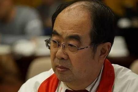全国政协委员马力：进一步推广使用新能源汽车很重要