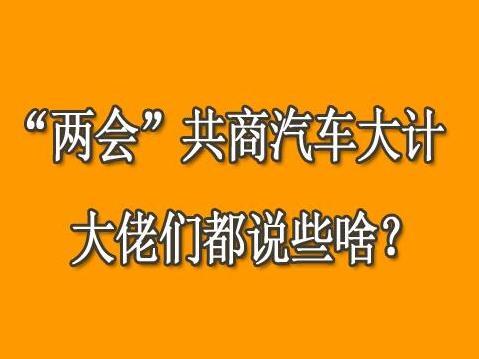 “两会”共商汽车大计 看看大佬们都说些啥？
