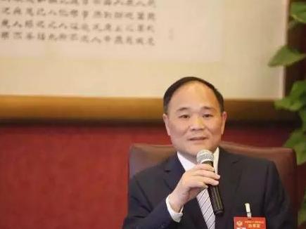 今年两会上的汽车热提案有哪些？新能源不再主旋律