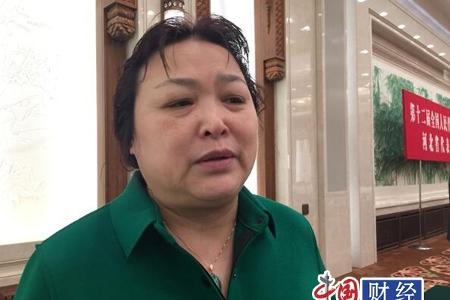 新能源汽车“地方保护”？ 人大代表：避免地方过度干预