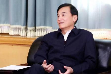 两会 || 安进：“汽车强国什么样？”“车卖得贵，还要卖到国外去”