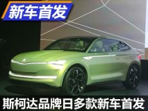 斯柯达明锐旅行车/VISION E概念车首发