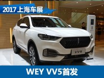 2017上海车展：WEY VV5车型首次亮相