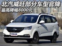 最高降幅8000元 北汽威旺部分车型官降
