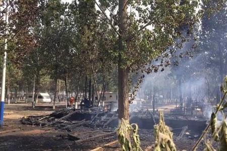 百辆新能源电动大巴被烧毁，起火原因竟然是杨絮柳絮？