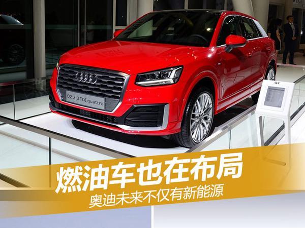 奥迪未来不仅有新能源 燃油车也在布局