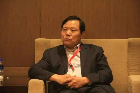 魏银仓关于新能源车市场和政策的冷思考