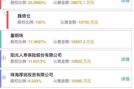 【欣迪盟•深度】投资数百亿五大项目同期开建  珠海银隆背后不只是董明珠