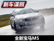 驱动模式自由切换 曝新宝马M5最新谍照