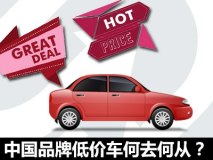 中国品牌低价车开始“清场”之行业篇