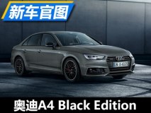 不仅加颜值 奥迪A4 Black Edition官图