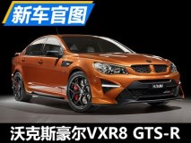 6月29日亮相 沃克斯豪尔VXR8 GTS-R官图