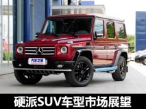 热潮之下仍有冷门 硬派SUV车型市场展望
