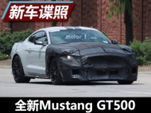 超700马力 新Mustang Shelby GT500谍照