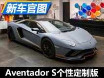 只此一辆 Aventador S个性定制版官图