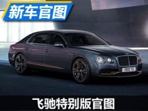 增加钛和碳纤维材质 飞驰特别版官图
